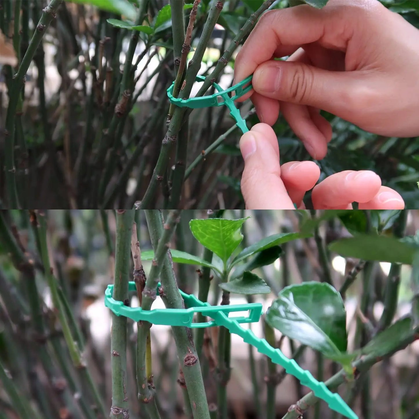 Garden Cable Ties