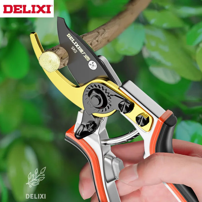 Pruning Scissors